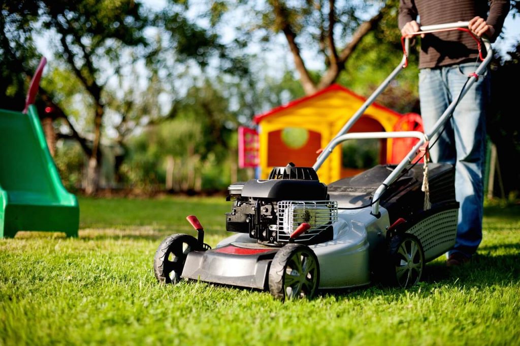 Cheap Lawn Mowing Services Adelaide